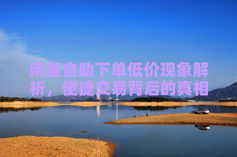 闲鱼自助下单低价现象解析，便捷交易背后的真相与考量