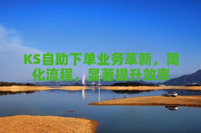 KS自助下单业务革新，简化流程，显著提升效率