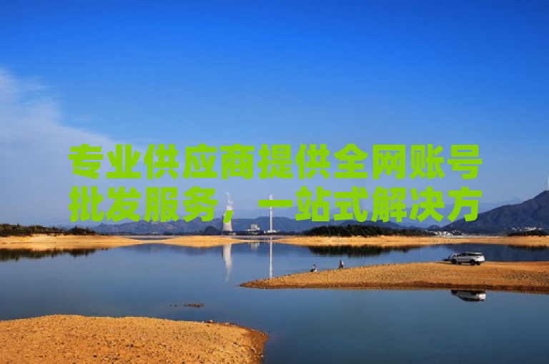 专业供应商提供全网账号批发服务，一站式解决方案助力企业高效运营