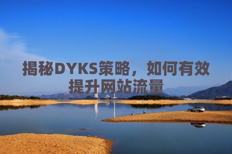 揭秘DYKS策略，如何有效提升网站流量