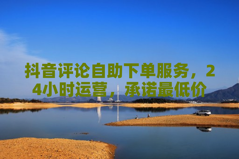 抖音评论自助下单服务，24小时运营，承诺最低价