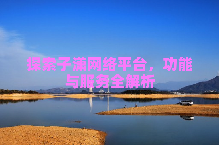 探索子潇网络平台，功能与服务全解析