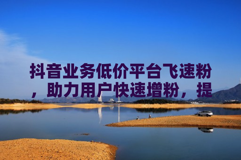 抖音业务低价平台飞速粉，助力用户快速增粉，提升社交媒体影响力