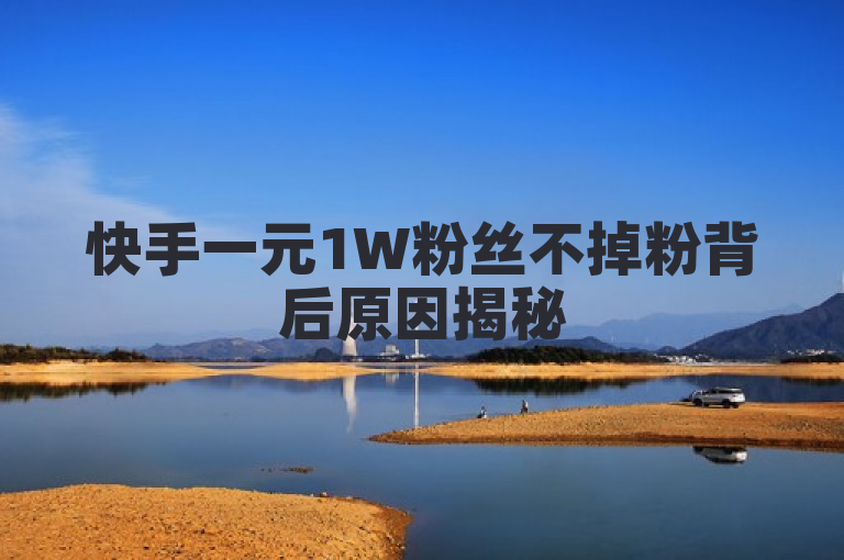 快手一元1W粉丝不掉粉背后原因揭秘