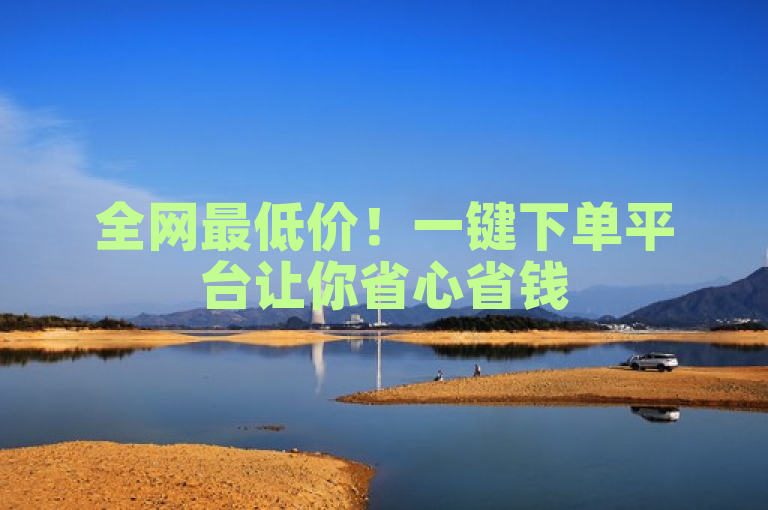 全网最低价！一键下单平台让你省心省钱