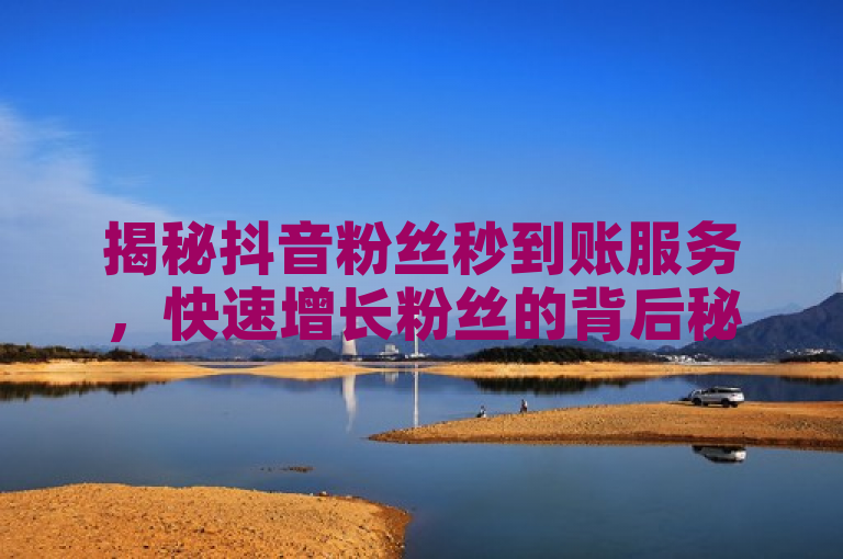 揭秘抖音粉丝秒到账服务，快速增长粉丝的背后秘密