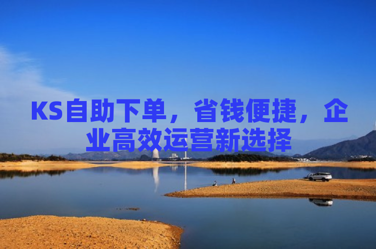 KS自助下单，省钱便捷，企业高效运营新选择