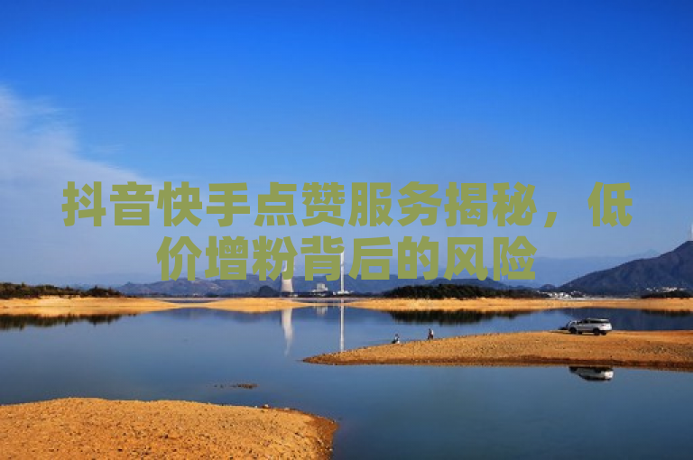 抖音快手点赞服务揭秘，低价增粉背后的风险