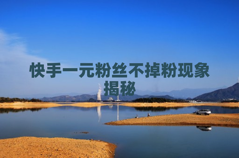 快手一元粉丝不掉粉现象揭秘