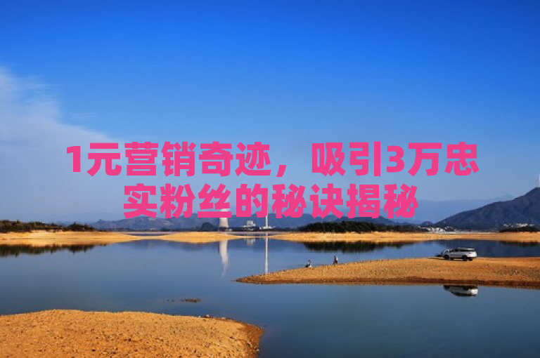 1元营销奇迹，吸引3万忠实粉丝的秘诀揭秘