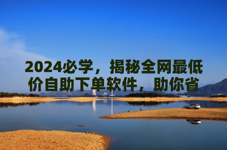 2024必学，揭秘全网最低价自助下单软件，助你省钱购物！