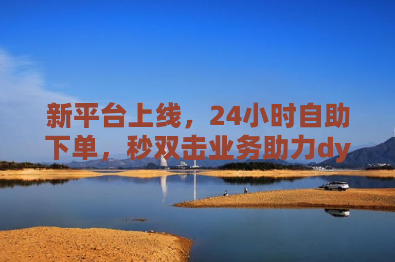 新平台上线，24小时自助下单，秒双击业务助力dy成长