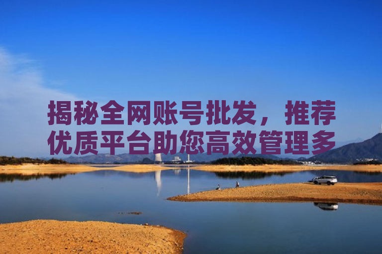 揭秘全网账号批发，推荐优质平台助您高效管理多账号