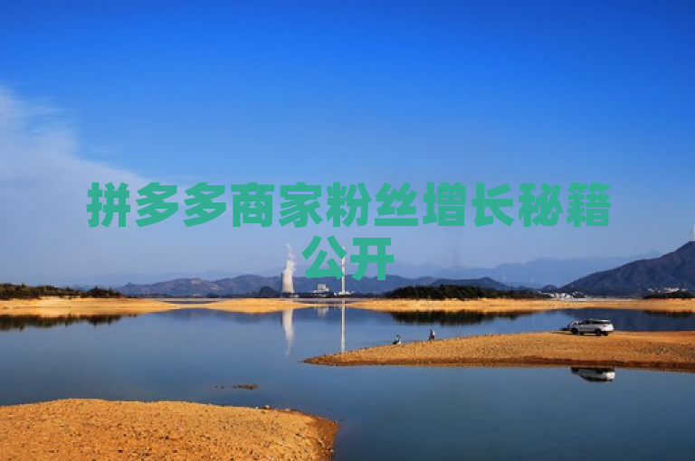 拼多多商家粉丝增长秘籍公开