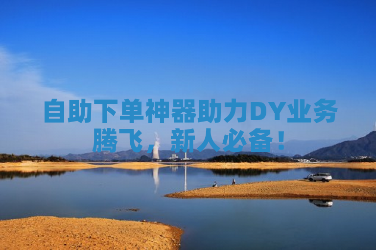 自助下单神器助力DY业务腾飞，新人必备！