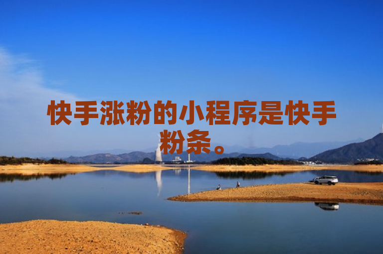 快手涨粉的小程序是快手粉条。