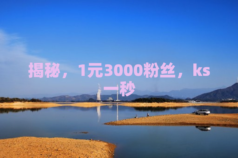揭秘，1元3000粉丝，ks一秒5000赞背后的真相