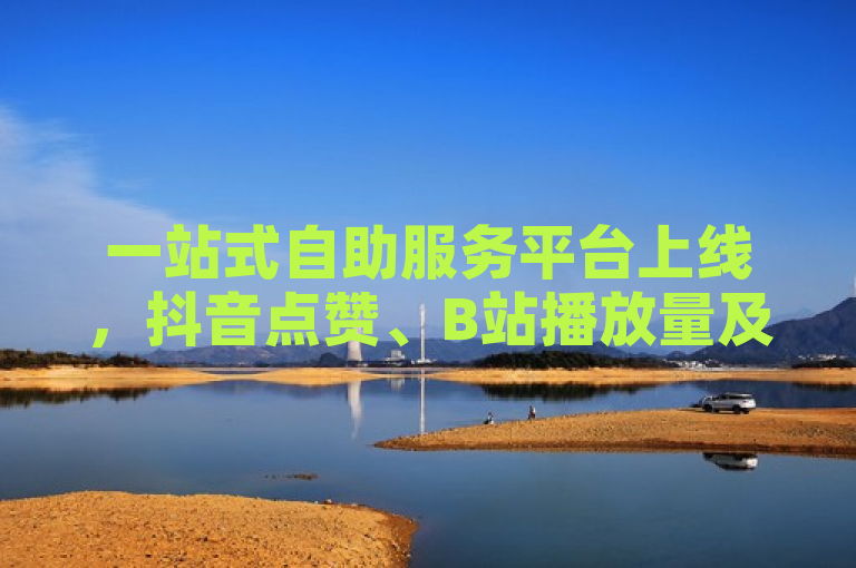 一站式自助服务平台上线，抖音点赞、B站播放量及快手下单功能全面开放