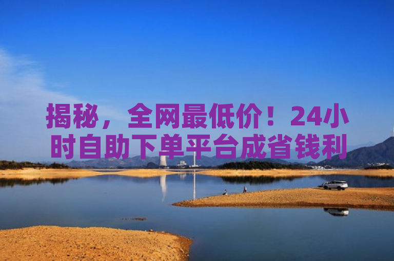 揭秘，全网最低价！24小时自助下单平台成省钱利器