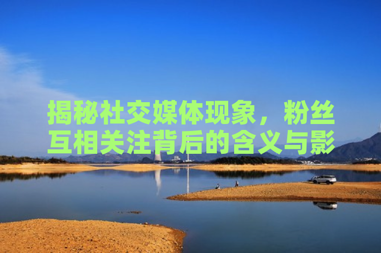 揭秘社交媒体现象，粉丝互相关注背后的含义与影响