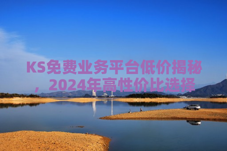 KS免费业务平台低价揭秘，2024年高性价比选择