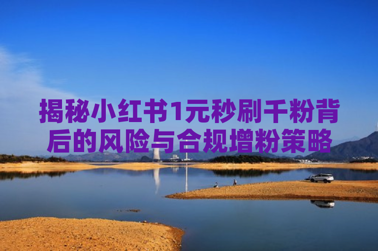 揭秘小红书1元秒刷千粉背后的风险与合规增粉策略，揭示了1元秒刷1000粉服务背后的潜在风险，并提供了合法合规的增粉方法。