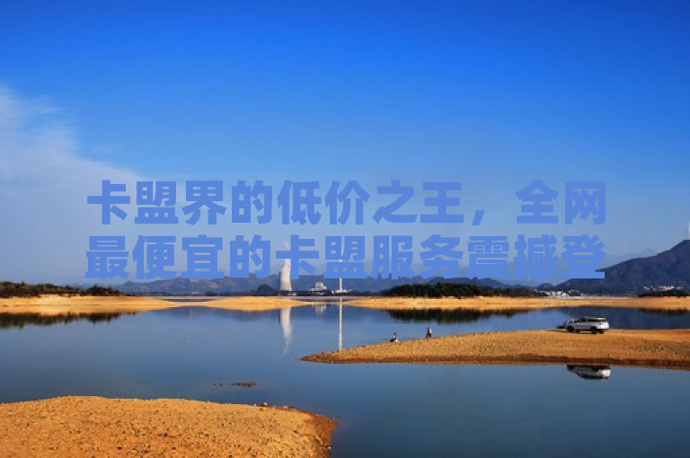 卡盟界的低价之王，全网最便宜的卡盟服务震撼登场