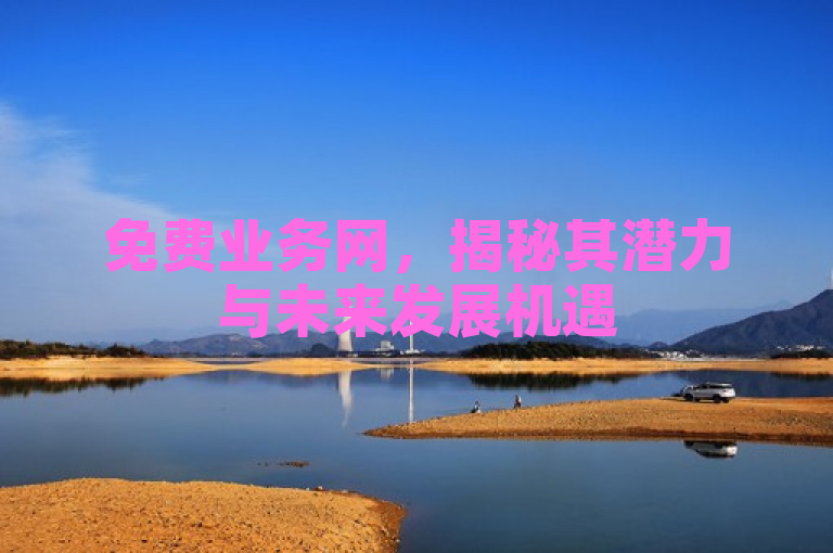 免费业务网，揭秘其潜力与未来发展机遇