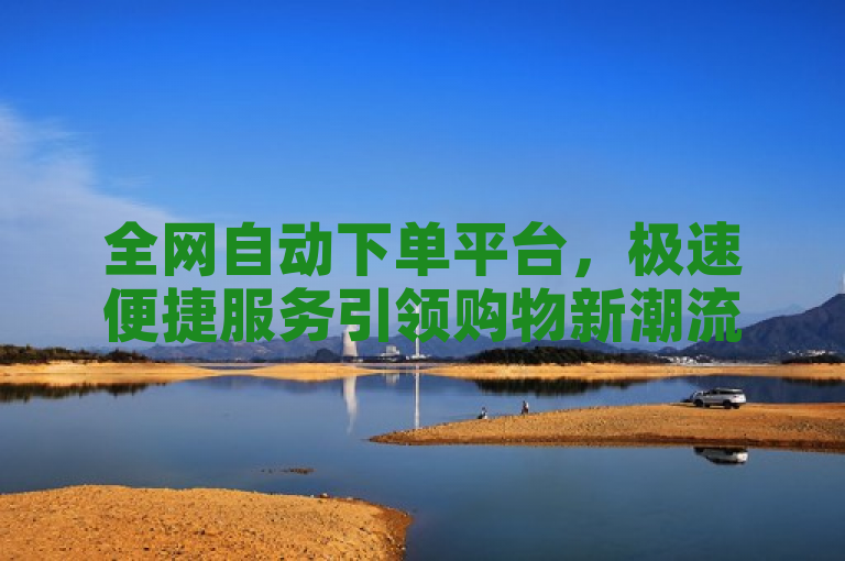 全网自动下单平台，极速便捷服务引领购物新潮流