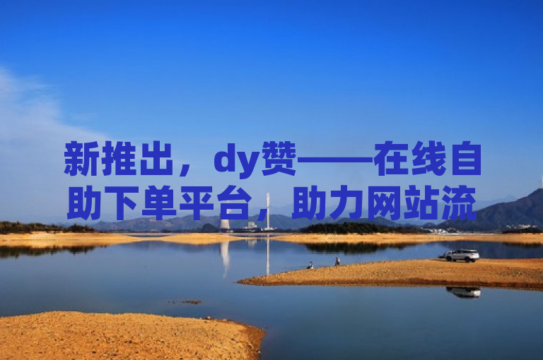 新推出，dy赞——在线自助下单平台，助力网站流量飙升的SEO神器