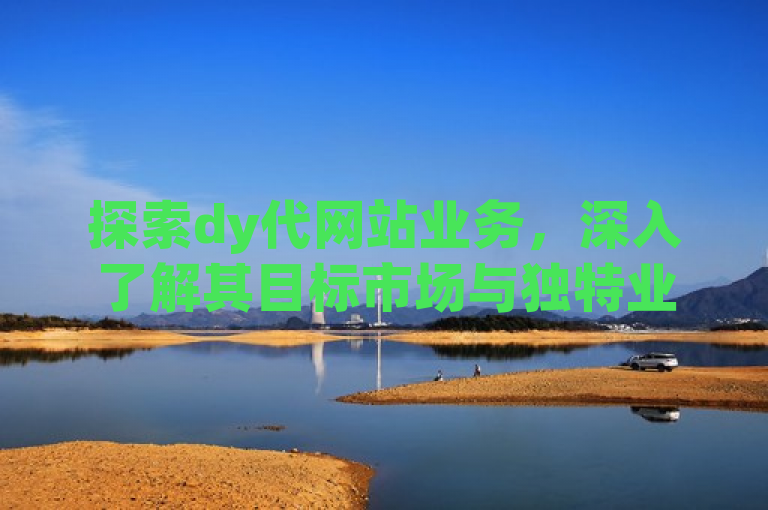 探索dy代网站业务，深入了解其目标市场与独特业务特性