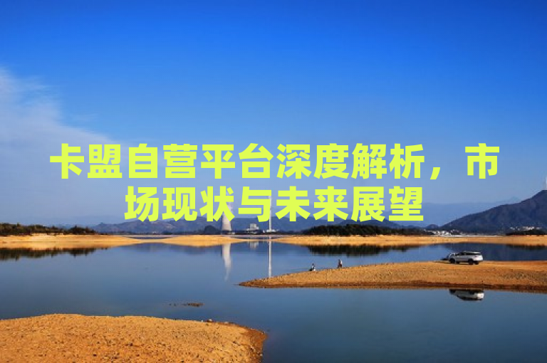 卡盟自营平台深度解析，市场现状与未来展望