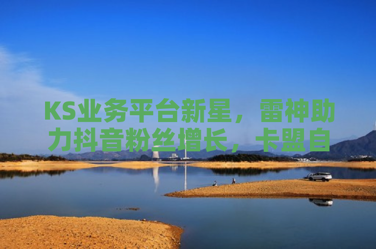 KS业务平台新星，雷神助力抖音粉丝增长，卡盟自动下单革新社交媒体营销