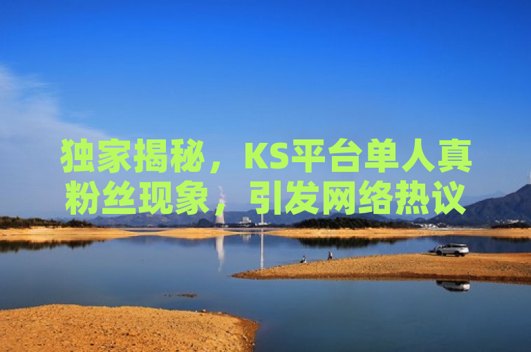 独家揭秘，KS平台单人真粉丝现象，引发网络热议！