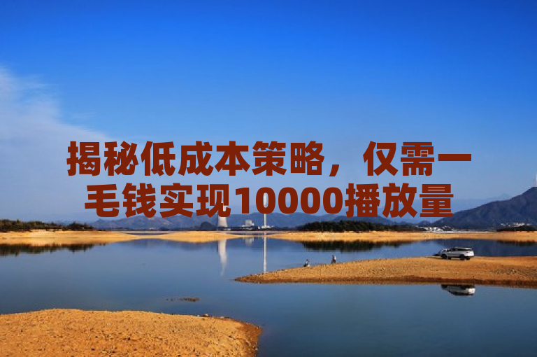 揭秘低成本策略，仅需一毛钱实现10000播放量
