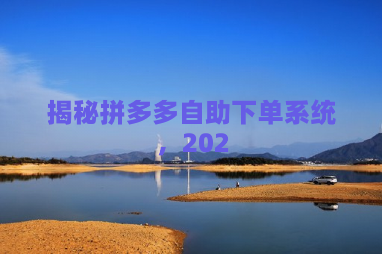 揭秘拼多多自助下单系统，2025年电商新趋势