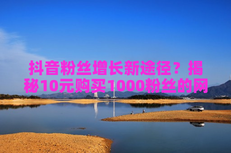 抖音粉丝增长新途径？揭秘10元购买1000粉丝的网站现象