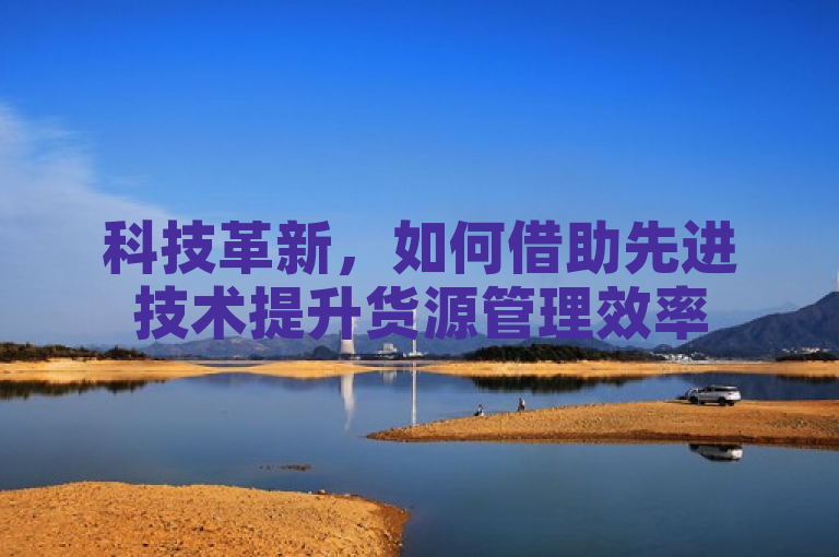 科技革新，如何借助先进技术提升货源管理效率