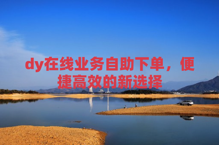 dy在线业务自助下单，便捷高效的新选择