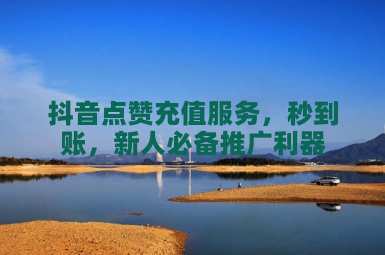 抖音点赞充值服务，秒到账，新人必备推广利器