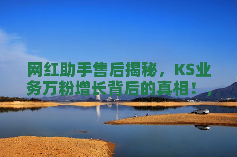 网红助手售后揭秘，KS业务万粉增长背后的真相！，揭示了KS业务一万粉丝与网红助手的售后服务之间的关系，并暗示了文章将深入探讨这背后的情况。