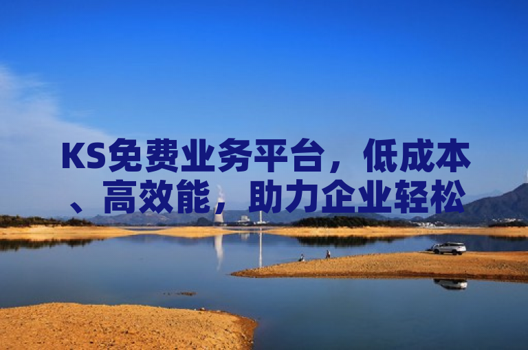 KS免费业务平台，低成本、高效能，助力企业轻松实现高效运营