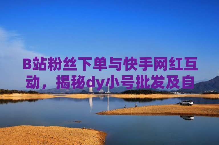 B站粉丝下单与快手网红互动，揭秘dy小号批发及自动发货网站操作流程