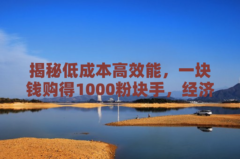 揭秘低成本高效能，一块钱购得1000粉块手，经济效益显著！