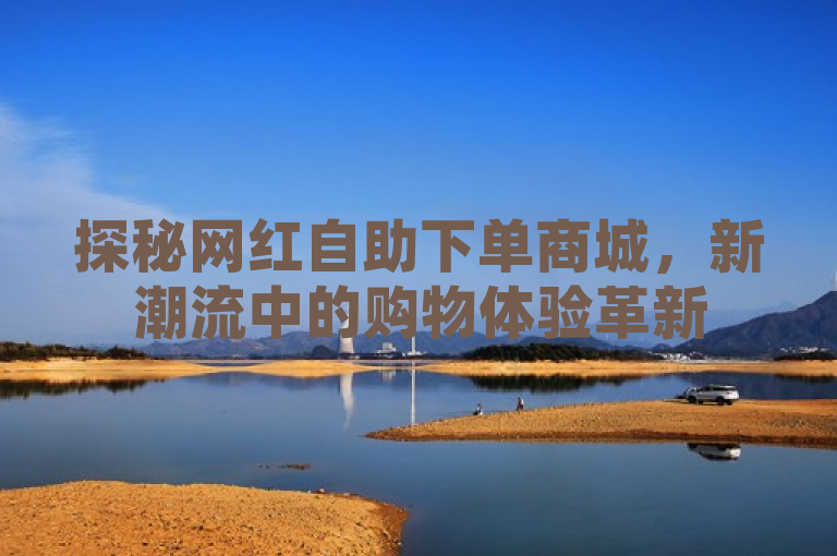 探秘网红自助下单商城，新潮流中的购物体验革新