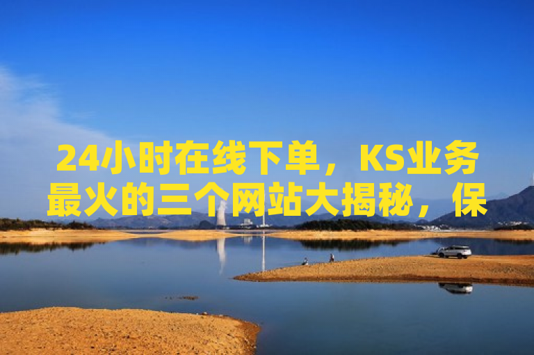24小时在线下单，KS业务最火的三个网站大揭秘，保持了新闻标题的简洁性和吸引力，同时也清晰地传达了文章的主题。