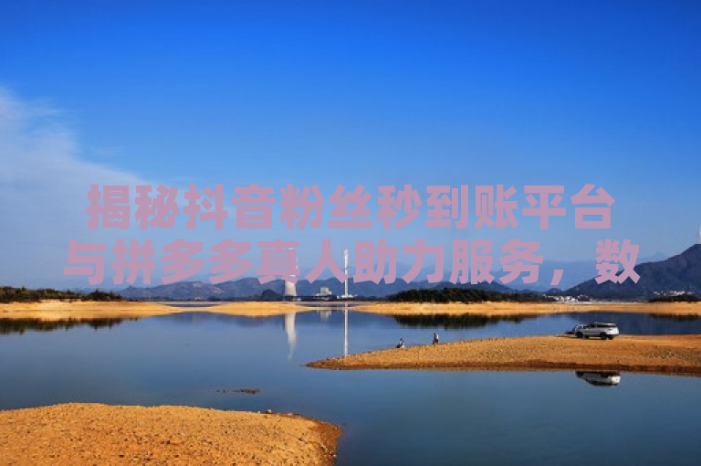 揭秘抖音粉丝秒到账平台与拼多多真人助力服务，数字营销背后的真相
