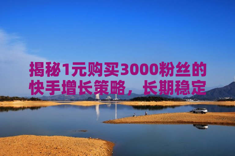 揭秘1元购买3000粉丝的快手增长策略，长期稳定无流失，2025年必备技巧！
