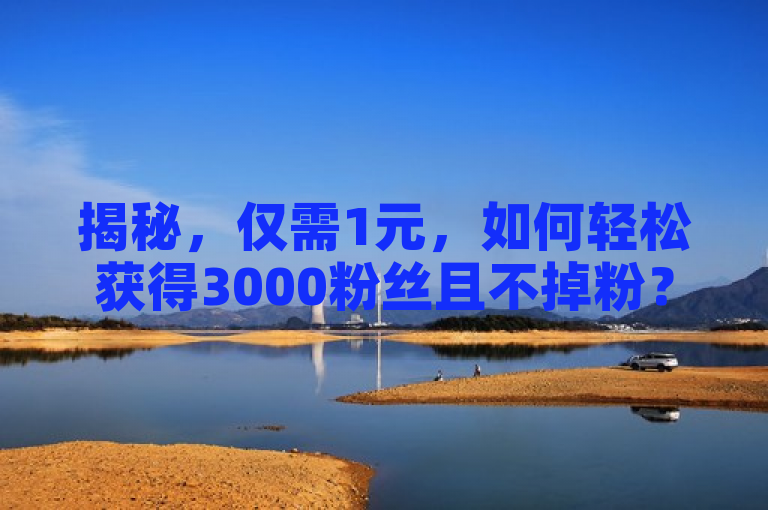 揭秘，仅需1元，如何轻松获得3000粉丝且不掉粉？