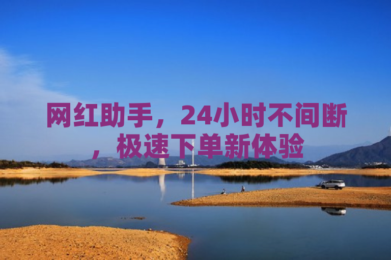 网红助手，24小时不间断，极速下单新体验